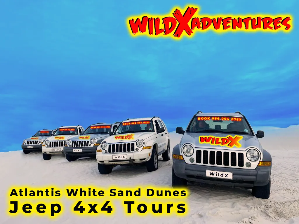 Activity Combo: Jeep 4x4 Experience & Glam Sandboarding with WildX Adventures