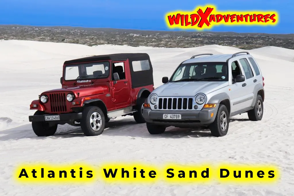 Activity Combo: Jeep 4x4 Experience & Glam Sandboarding with WildX Adventures