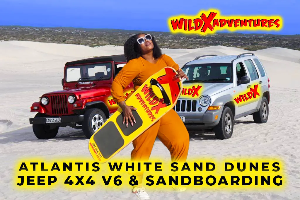 Activity Combo: Jeep 4x4 Tour and Classic Sandboarding with WildX Adventures