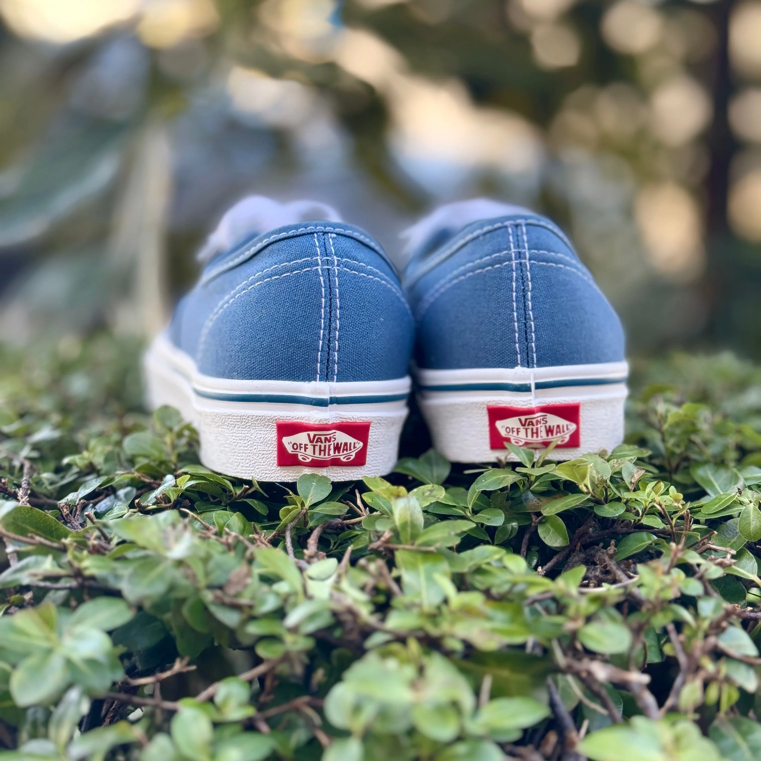 Black and White Roses on Navy Vans Authentic Shoes