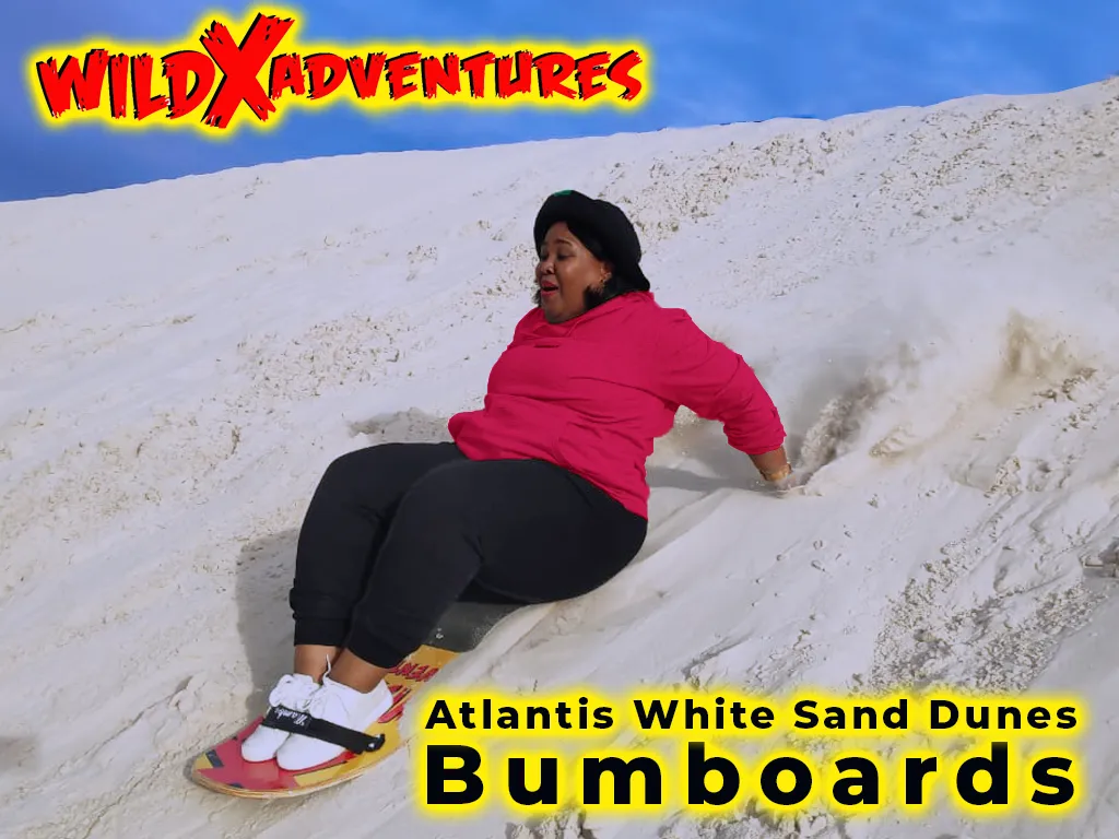 Classics Sandboarding at WildX Adventures