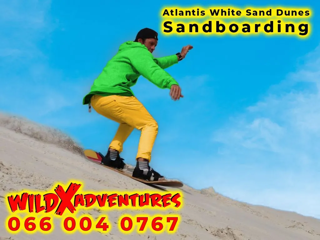 Classics Sandboarding at WildX Adventures