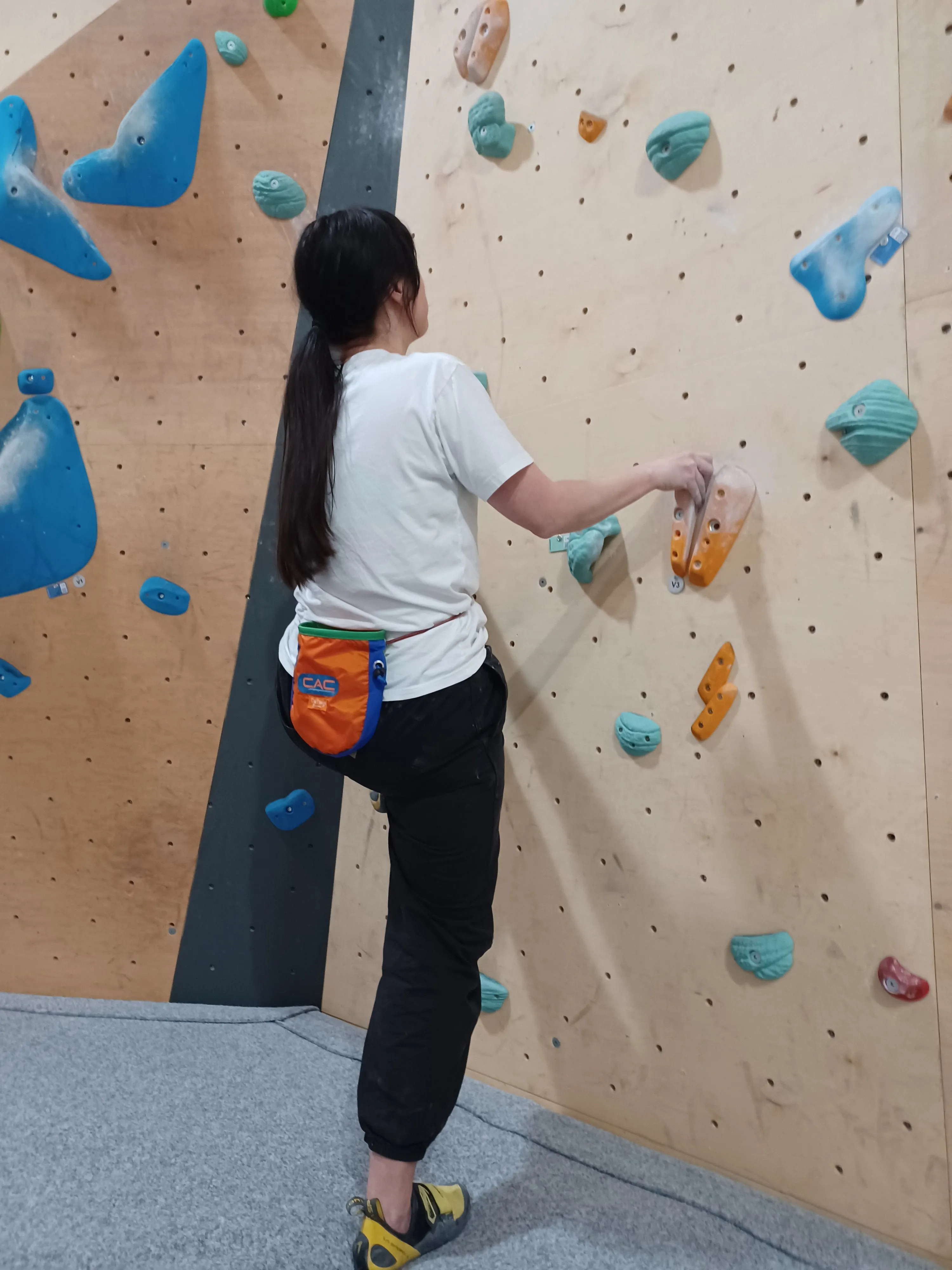 'Climber's Against Cancer' Chalk Bag