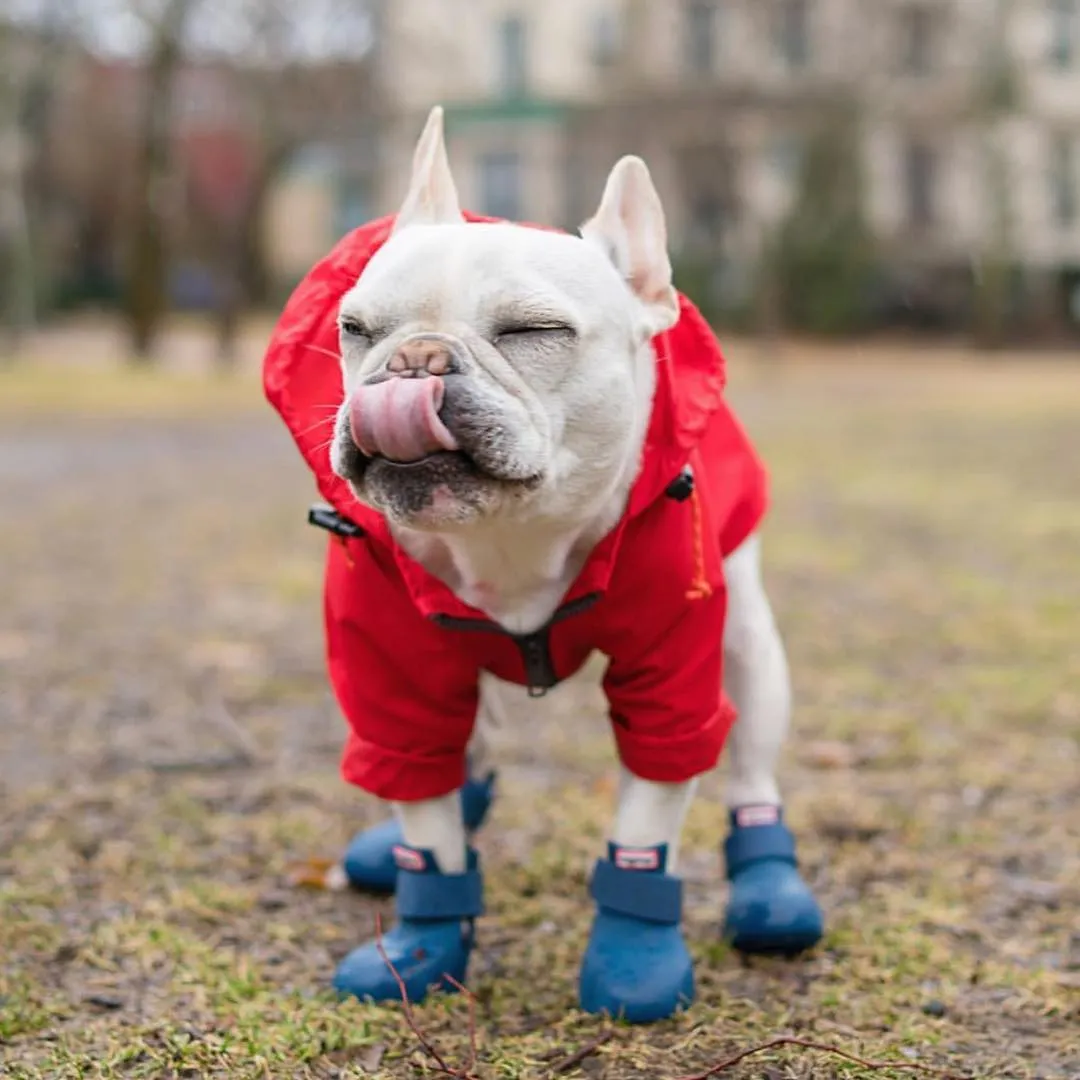 Dog Boots - WagWellies™ (1 pair of 2)