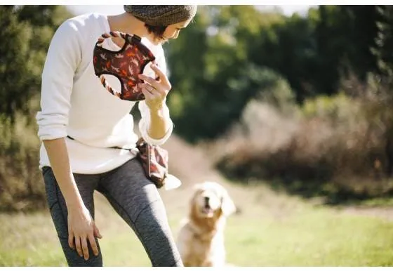 Dog Toy Flying Disc