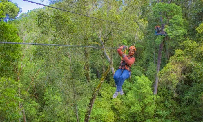 Karkloof Canopy Zip-Line Tour Experience