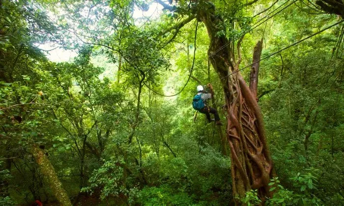 Karkloof Canopy Zip-Line Tour Experience