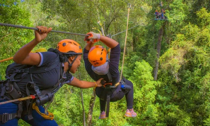 Karkloof Canopy Zip-Line Tour Experience