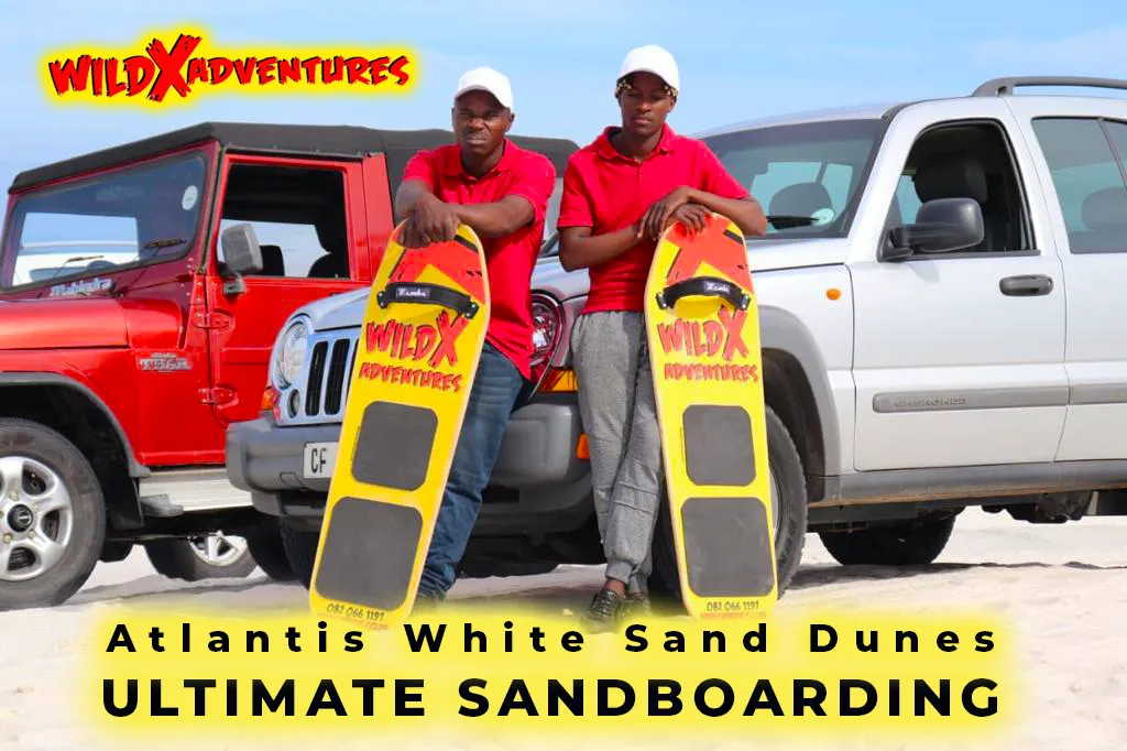 Ultimate Sandboarding Experience for 1, 2, 4 or 6